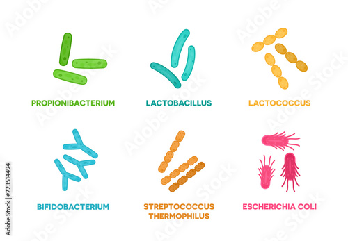 Probiotics. Set of good bacteria and microorganisms concept isolated on white background. Propionibacterium, lactobacillus, lactococcus, bifidobacterium, streptococcus thermophilus, escherichia coli