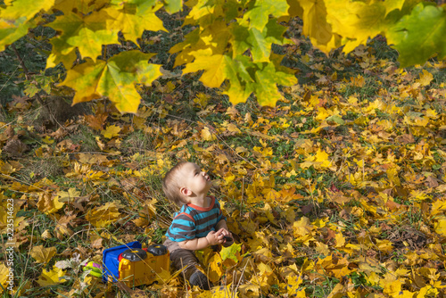 Little boy sitting in autumn leaves on a warm sunny day.