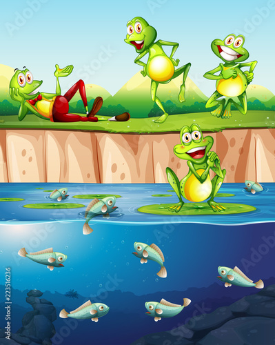 Frog next to the pond