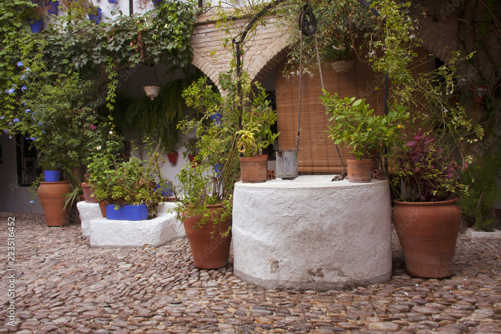 Detalle de típico patio andaluz con suelo de piedra, pozo para agua y decorado con diferentes tipos de plantas y macetas. Córdoba, Andalucía, España. Viajes y turismo.