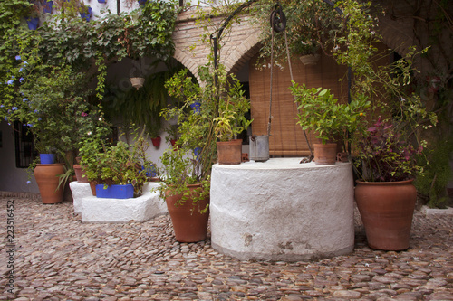 Detalle de típico patio andaluz con suelo de piedra, pozo para agua y decorado con diferentes tipos de plantas y macetas. Córdoba, Andalucía, España. Viajes y turismo.