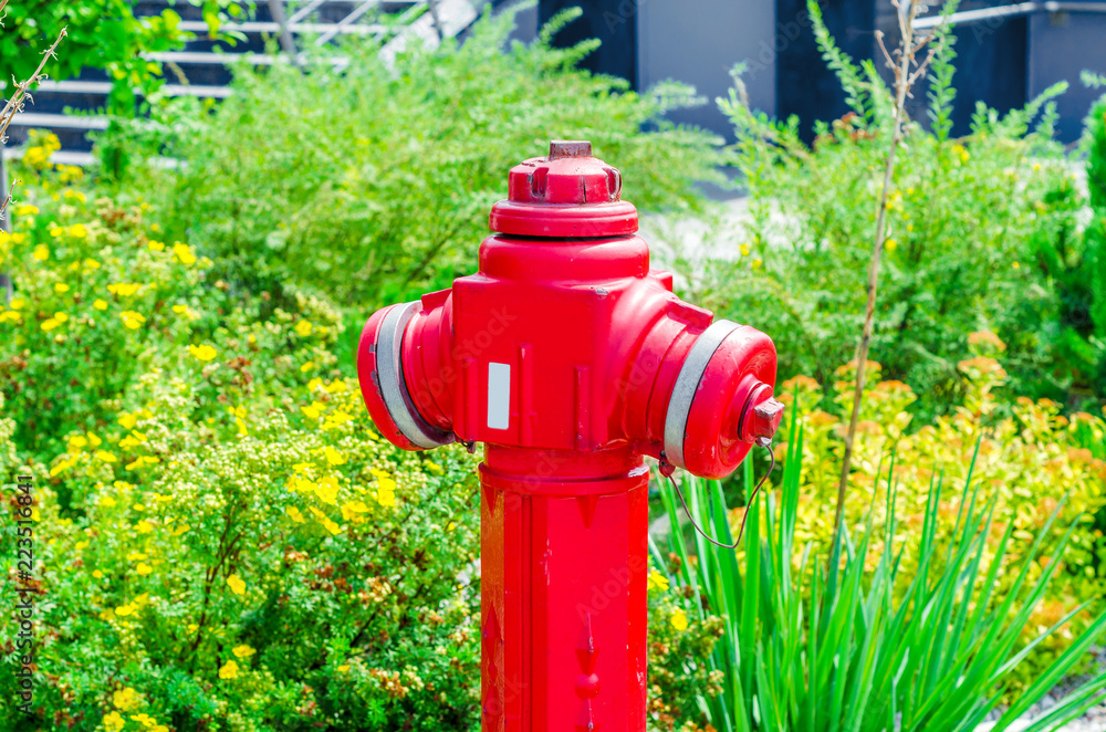 Fire crane red on the green lawn, grass, bushes, security in the city Fire crane red on the green lawn, grass, bushes, security in the city