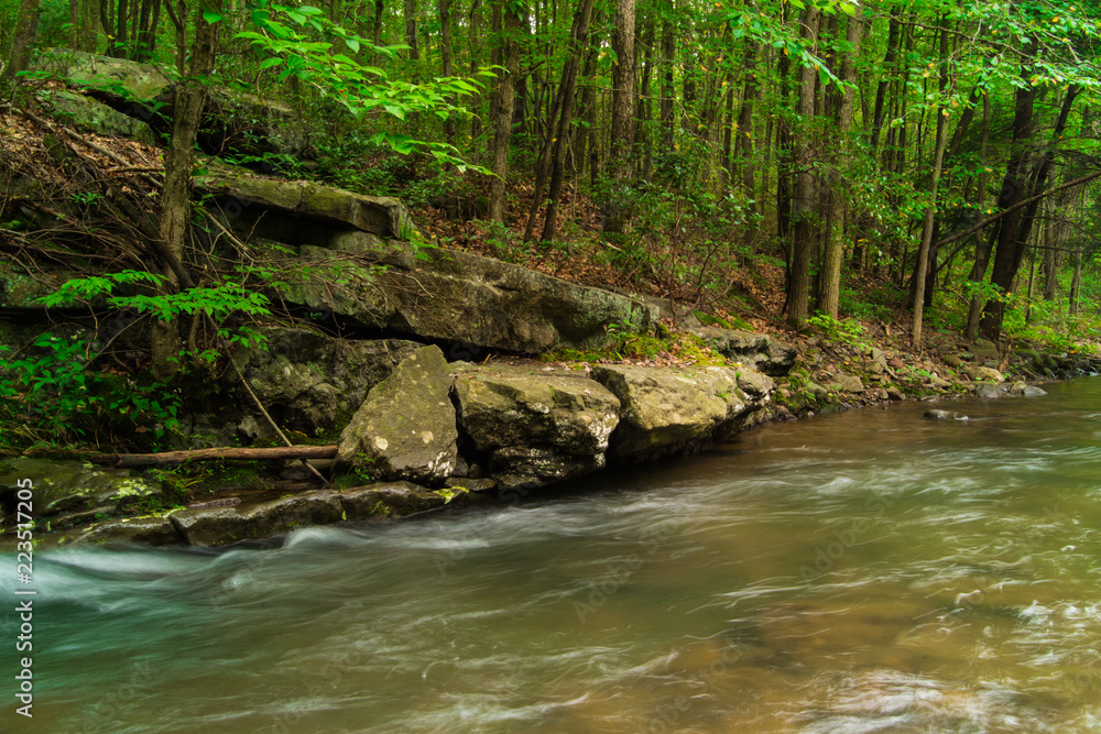 Fresh Water Stream Flowing Swiftly Over Rocky Forest Landscape