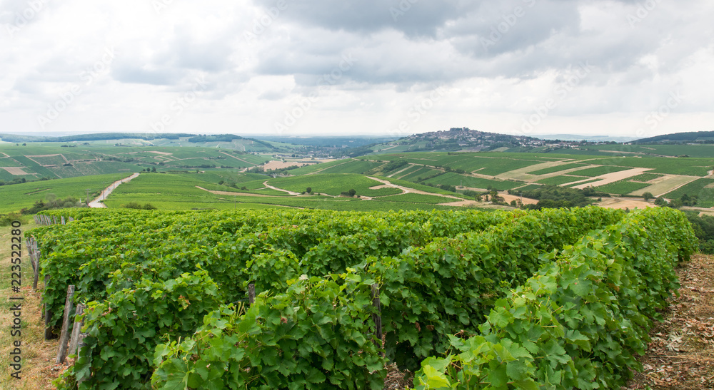 vignoble sancerrois