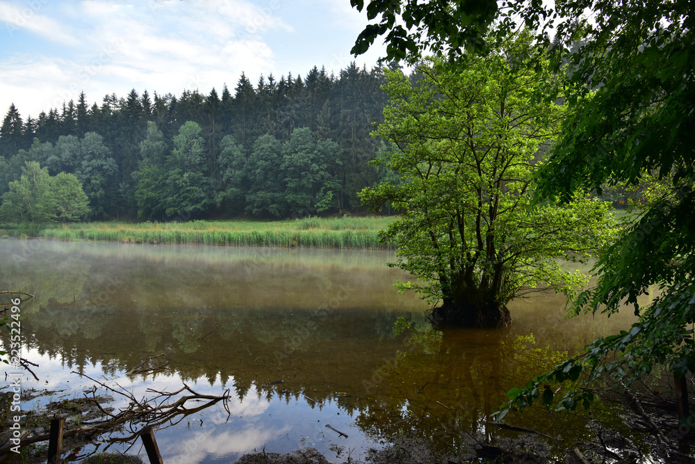 Naklejka premium Kokorinsko pond on the stream Psovce