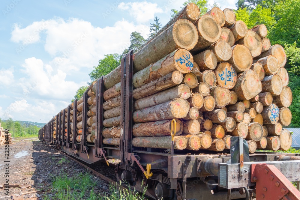 Naklejka premium Pociąg towarowy z ładunkiem drewna