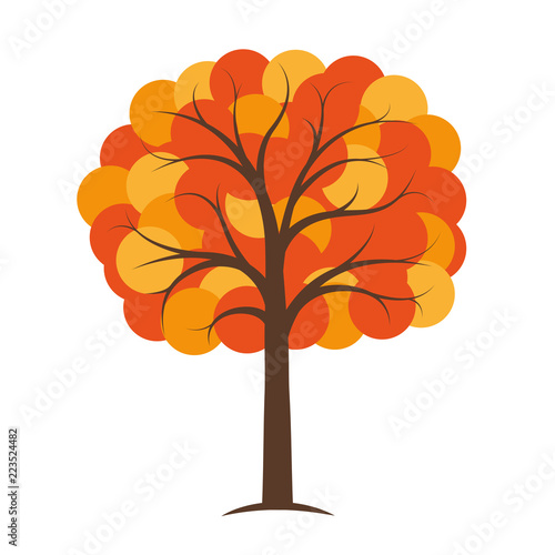 orange and yellow autumn tree