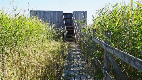 Wooden public access bird observation tower at lake Takern near Odeshog in Sweden. Reed swaying in the wind. Bird sounds in the surrounding. photo