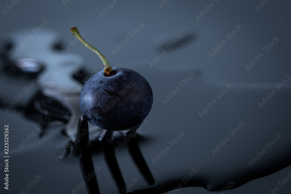 Soft fruits, blueberry isolated Soft fruits, blueberry isolated