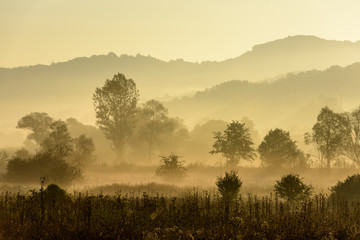 Fototapete Honigfarbe Magische Herbstlandschaft mit Sonnenstrahlen am Morgen. Vintage Landschaften. Kein Effektfilter.  © krstrbrt