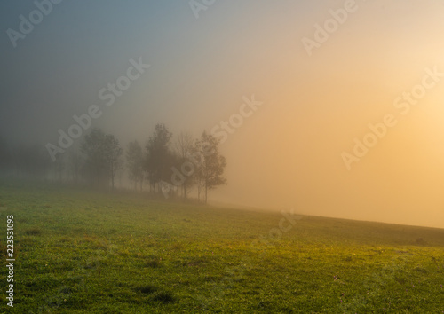 Misty foggy sunrise field with trees