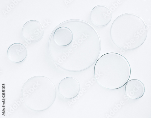 petri dish science equipment lab on white background