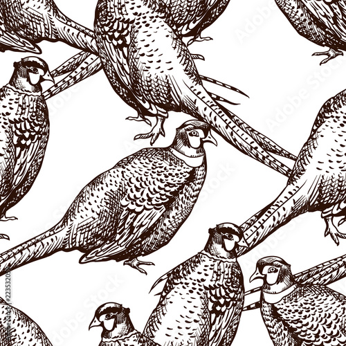 Seamless pattern with pheasants.