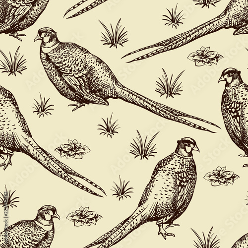 Seamless pattern with pheasants.