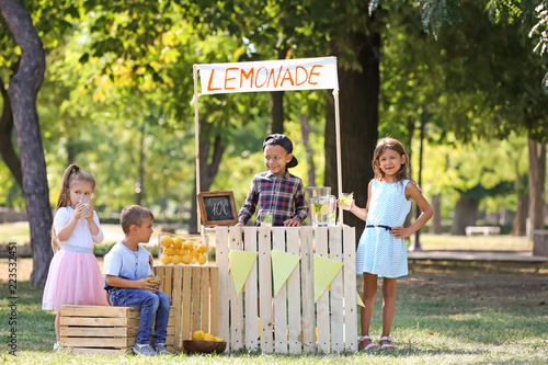 Little African-American boy selling lemonade at counter in park photo