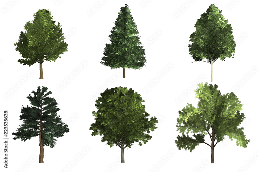 green tree isolated on white background green tree isolated on white background