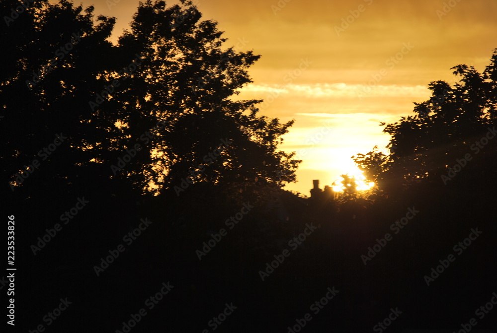 Fototapeta premium Orange Sunset Silhouette 