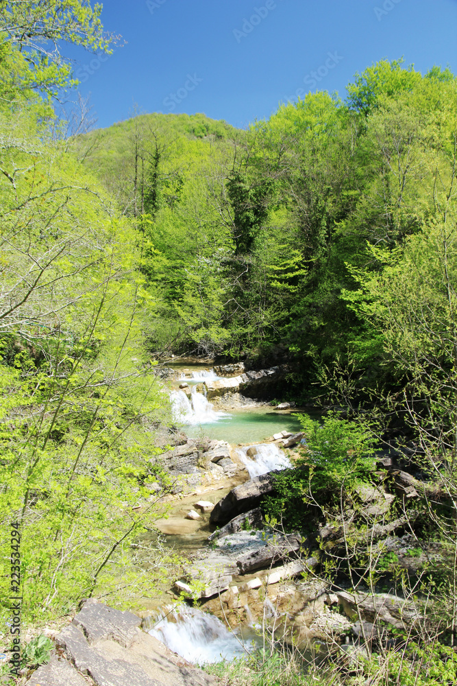 A mountain river Janet, Gelendzhik, Russia A mountain river Janet, Gelendzhik, Russia
