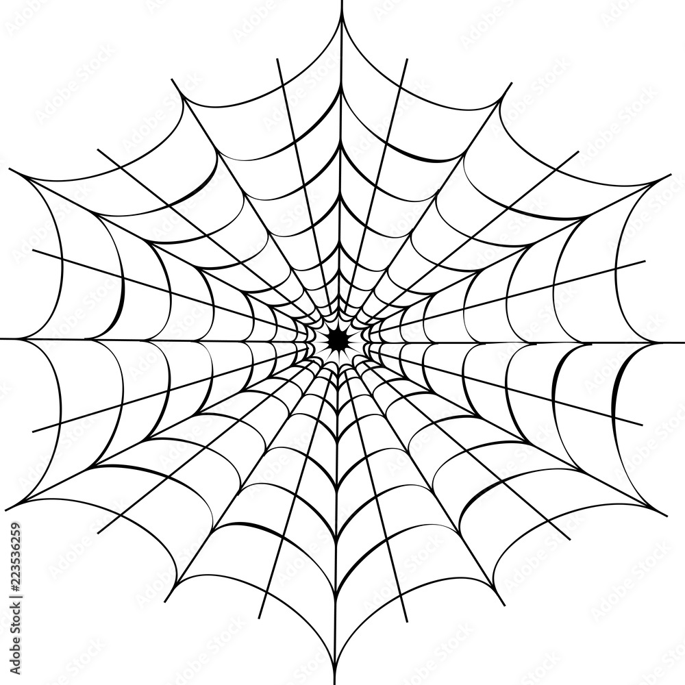 Obraz premium Decorative spider web