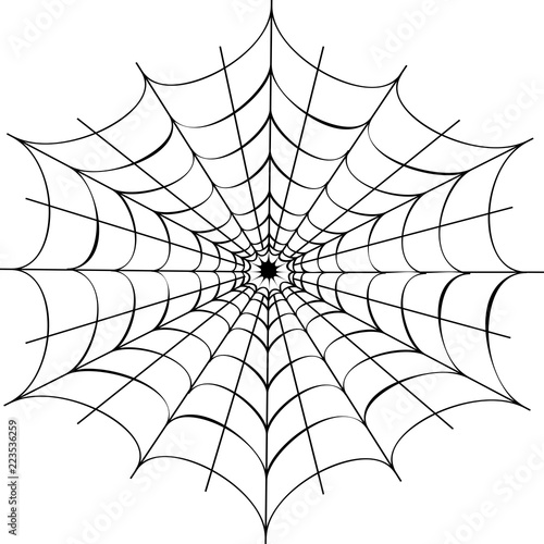 Decorative spider web
