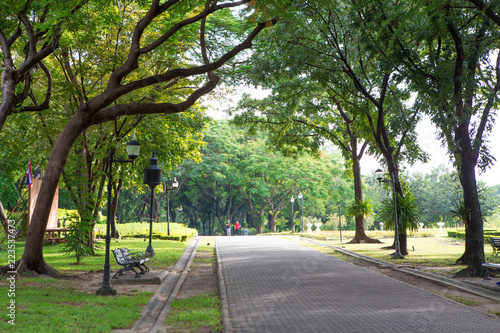 Road in the beautiful park