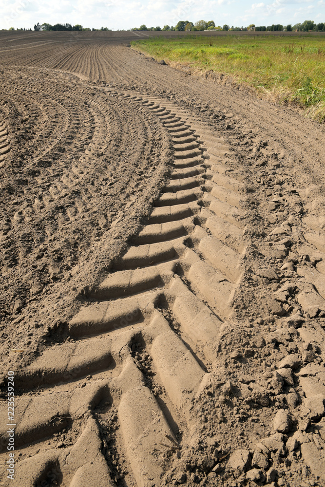 Naklejka premium sandabdruck