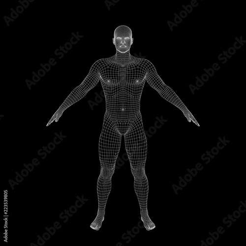 Standing man. Wireframe hum...