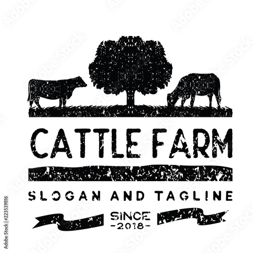 Vintage Cattle / Beef logo design inspiration vector