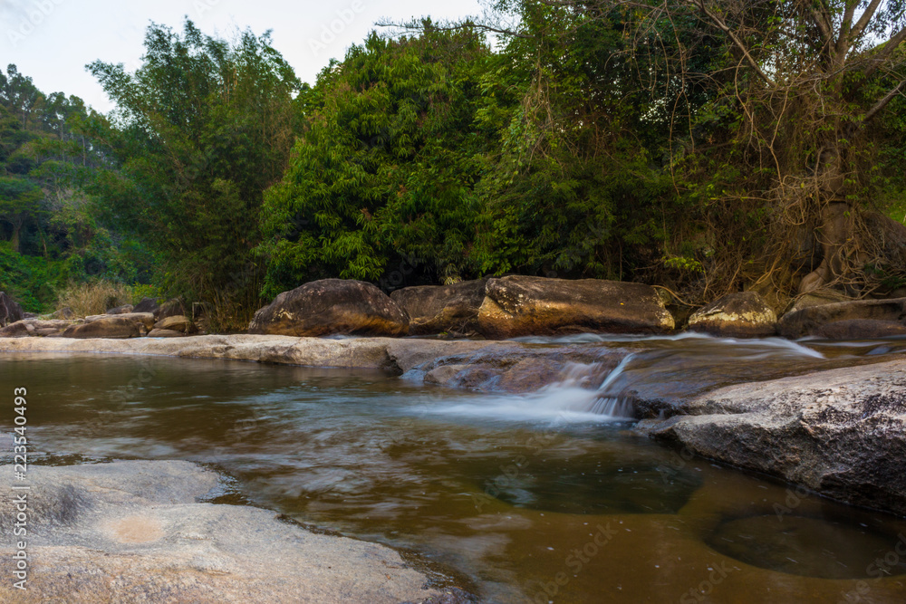 river in the forest