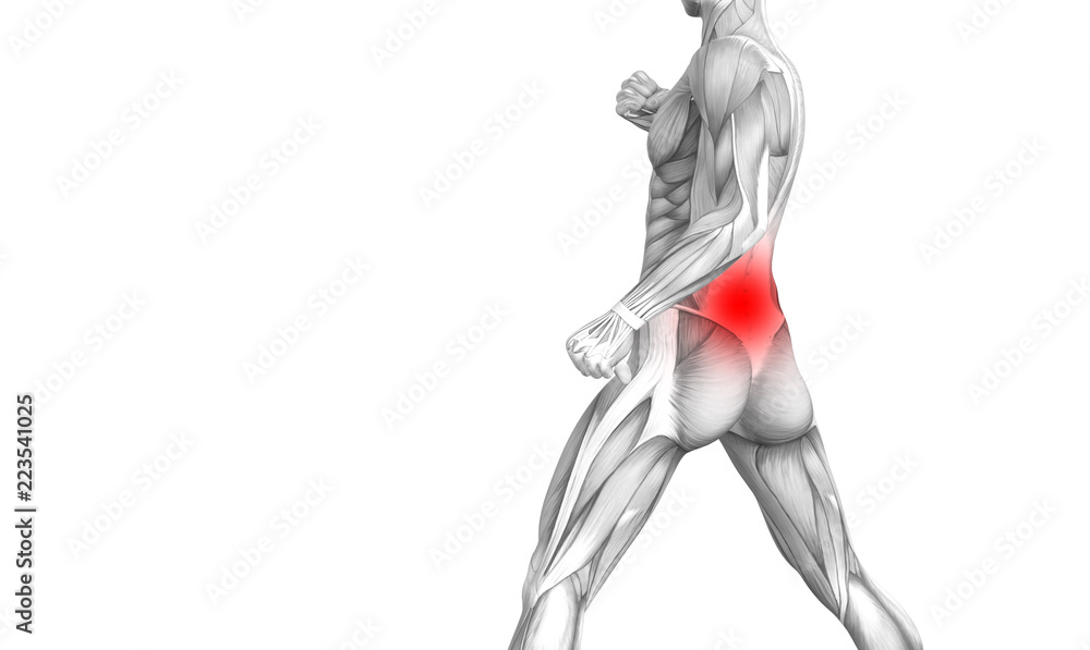 Conceptual back human anatomy with red hot spot inflammation articular joint pain or spine health care therapy or sport muscle concepts. 3D illustration man arthritis or bone sore osteoporosis disease Conceptual back human anatomy with red hot spot inflammation articular joint pain or spine health care therapy or sport muscle concepts. 3D illustration man arthritis or bone sore osteoporosis disease