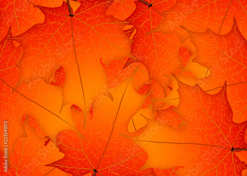 Red autumn maple leaves. Illustration. Autumn leaves background