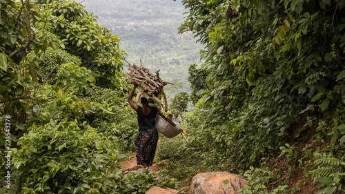 bois ramassé pour une cérémonie au bénin