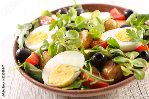 mixed vegetable salad with egg