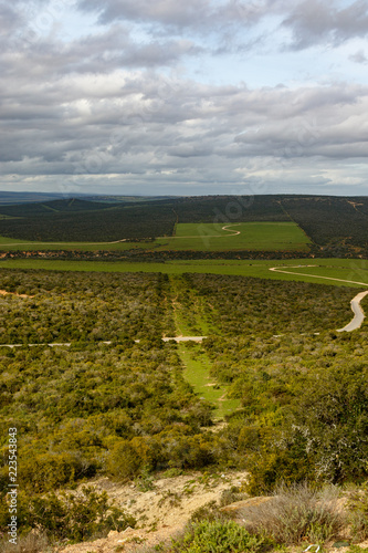 Lookout over the green bush field with patches