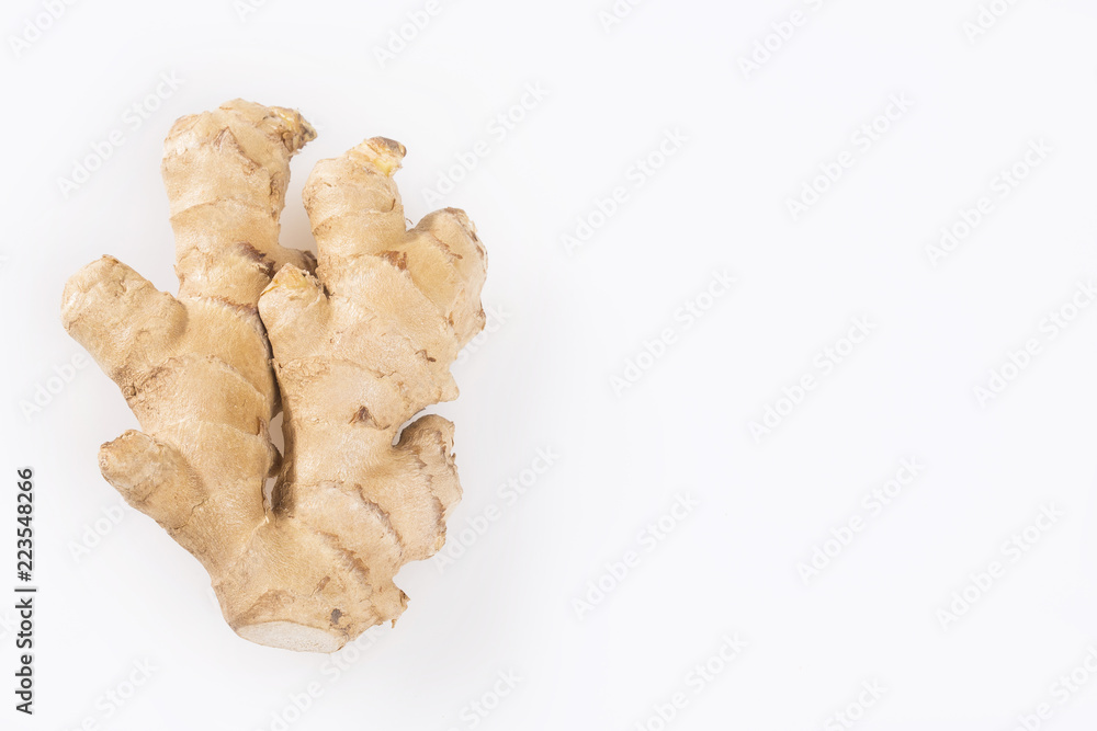 Ginger spice root - Zingiber officinale Ginger spice root - Zingiber officinale
