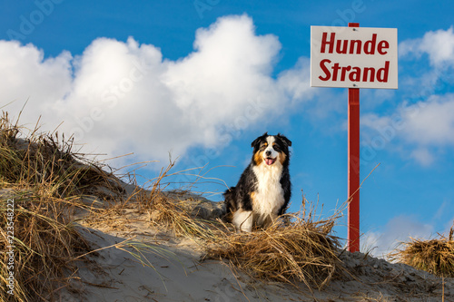 Unser Strand