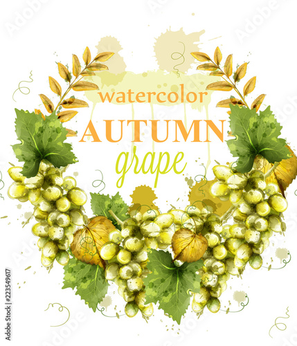 White grapes wreath watercolor card Vector. Painted splash style templates