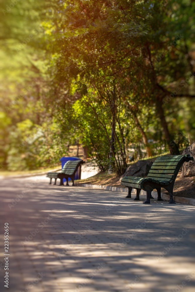 Park bench in summer, autumn day Park bench in summer, autumn day