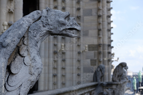 Gargoyle on Notre-Dame de Paris in Paris France
