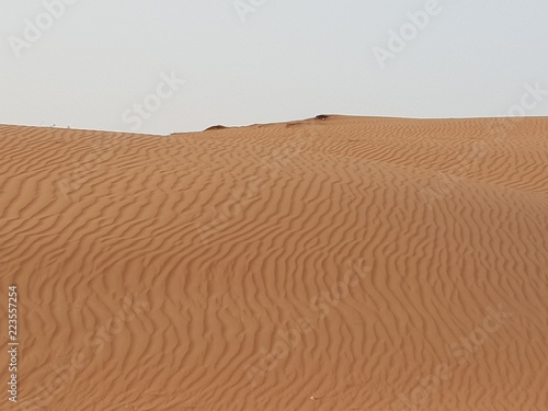 Desert design