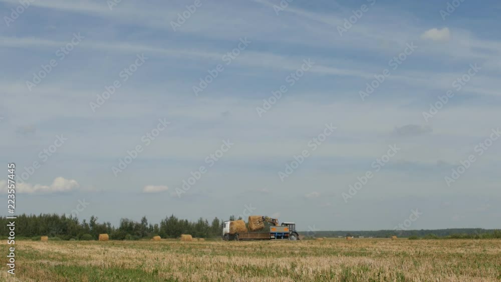 custom made wallpaper toronto digitalFarming, tractor loads bale of hay into the trailer on countryside