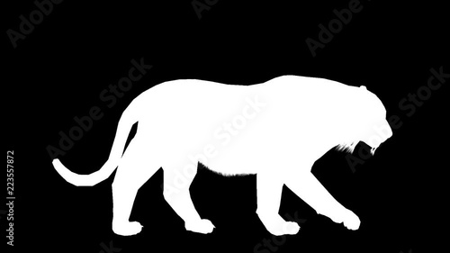 Silhouette of a moving tiger. Alpha channel. Alpha matte. FullHD. photo