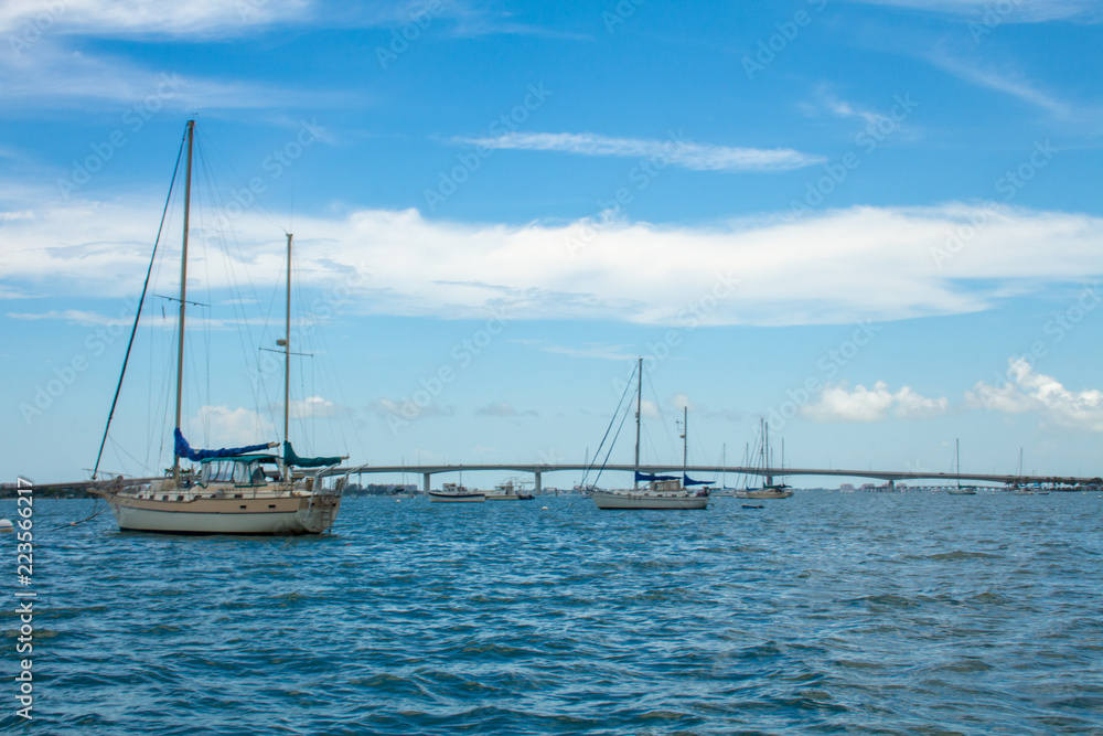 Sail boats on Sarasota Bay