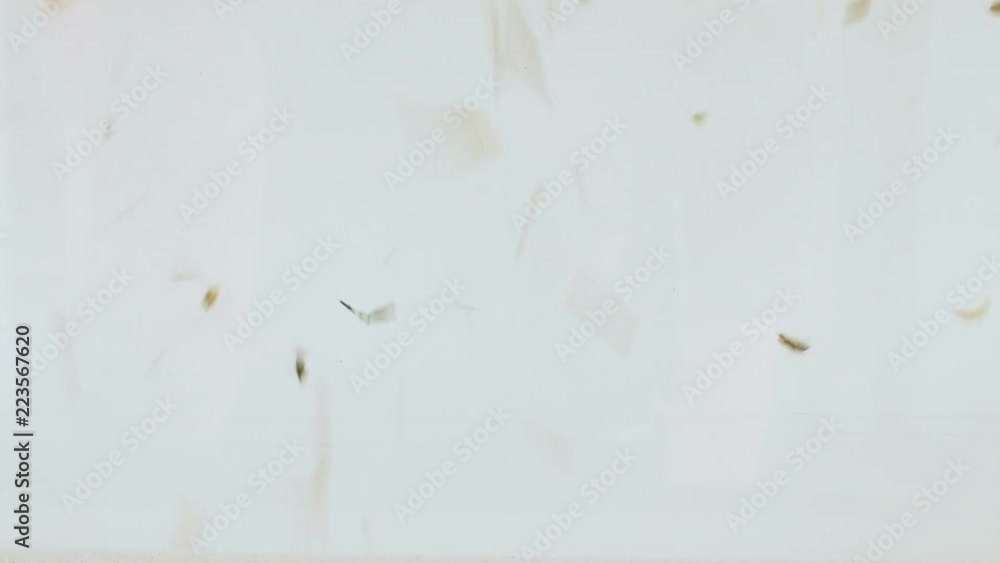 Fractions fly in the air from the wind, overlay with motion by attractive force Fractions fly in the air from the wind, overlay with motion by attractive force