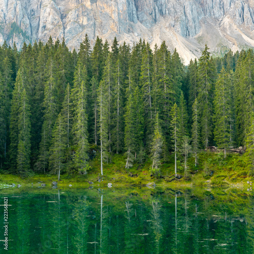 Reflection of the forest in a beatiful green lake in the Italian Alps