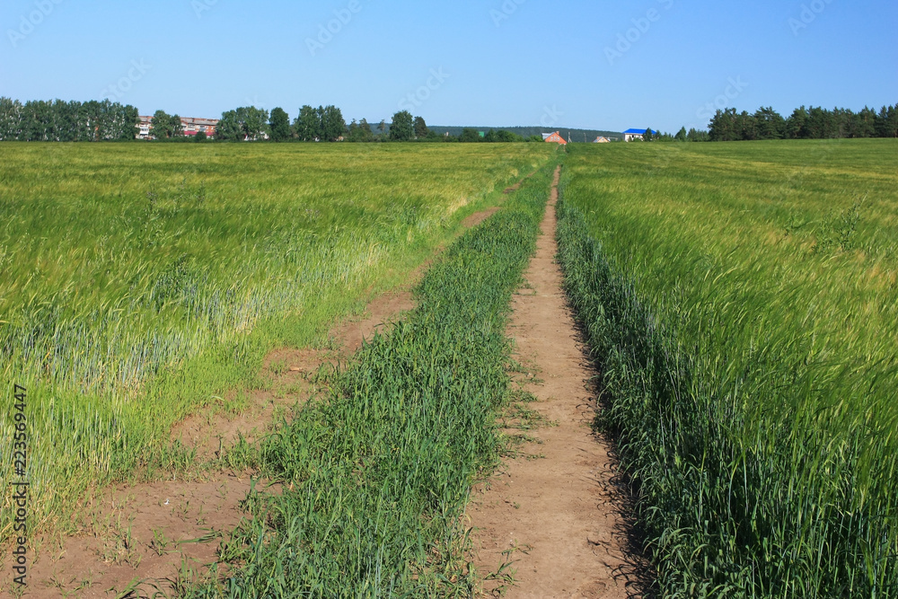 A deserted country road in the field