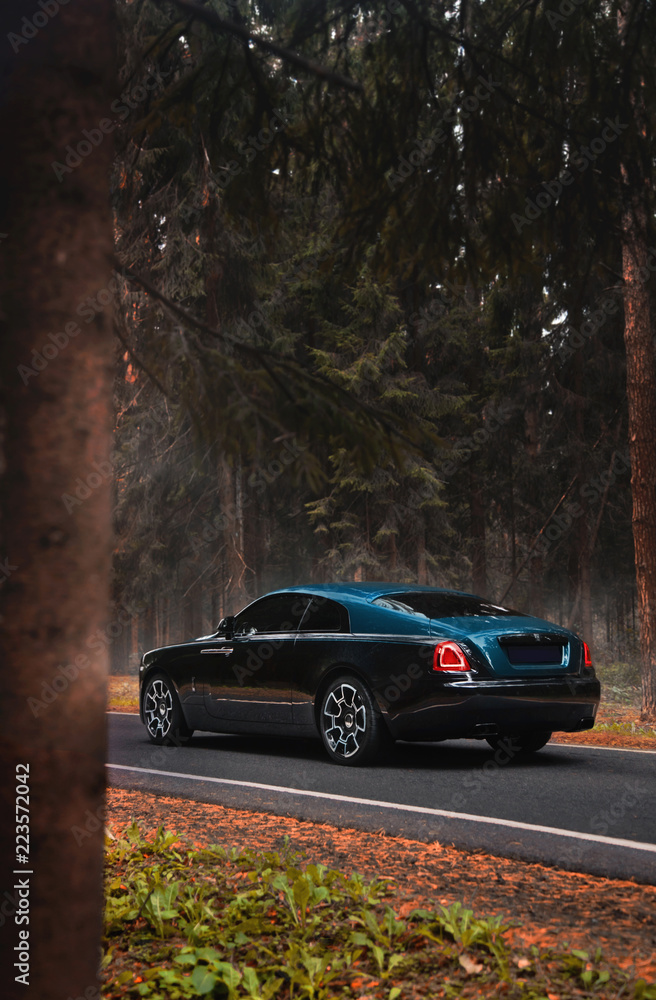 Luxury car in the spruce forest