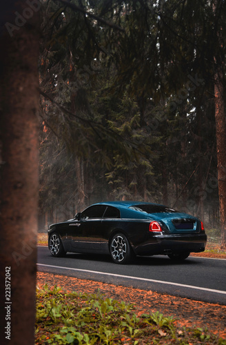 Luxury car in the spruce forest