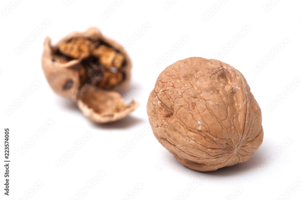 closeup of walnuts on white background closeup of walnuts on white background