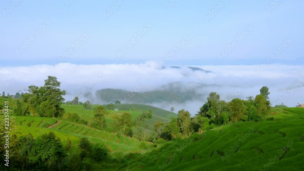 Motion video time lapse of Misty moving over the green paddy field / rice field fram in the morning at countryside in Chiangmai, Thailand Motion video time lapse of Misty moving over the green paddy field / rice field fram in the morning at countryside in Chiangmai, Thailand